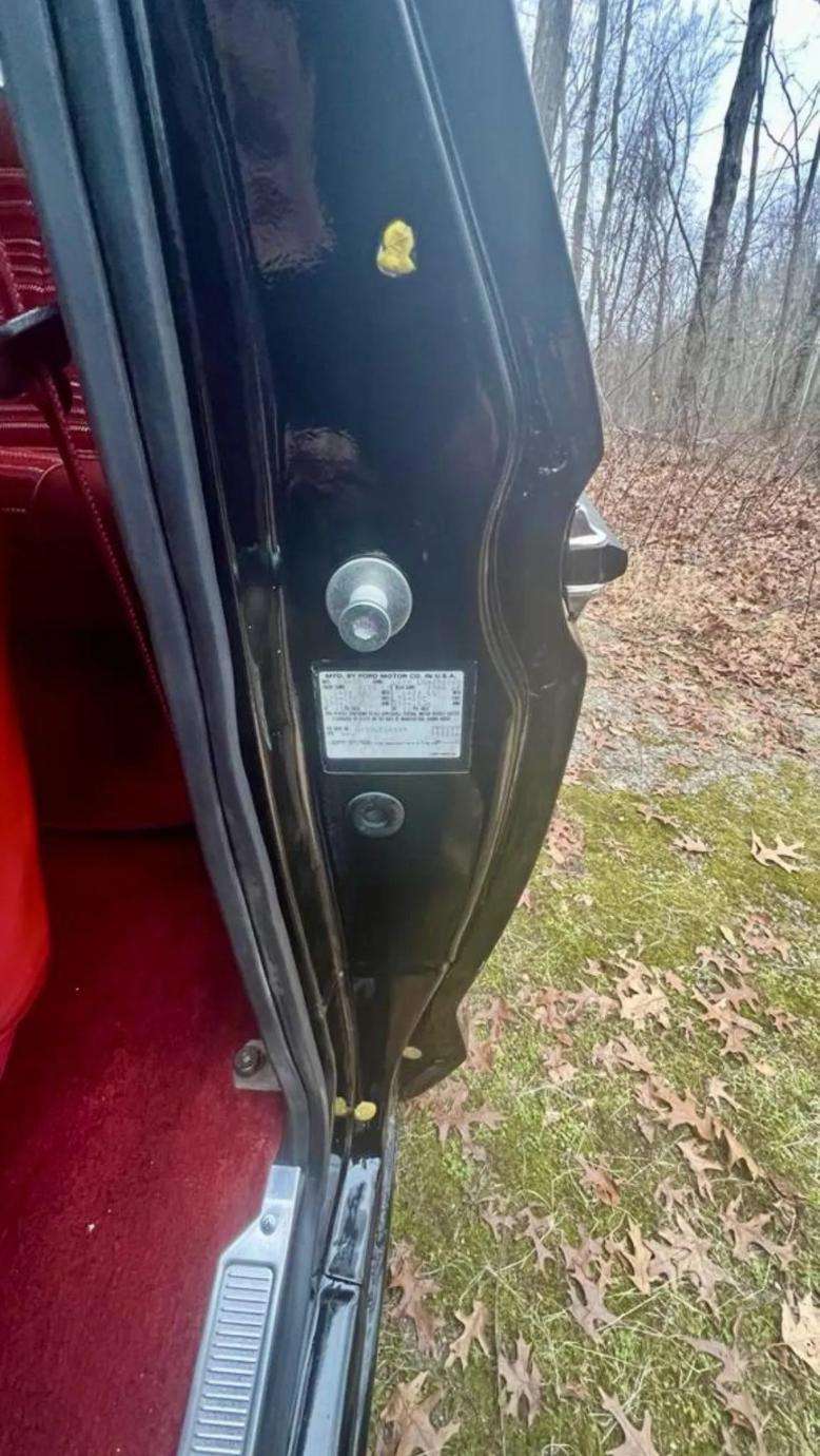 1979 Ford Bronco
