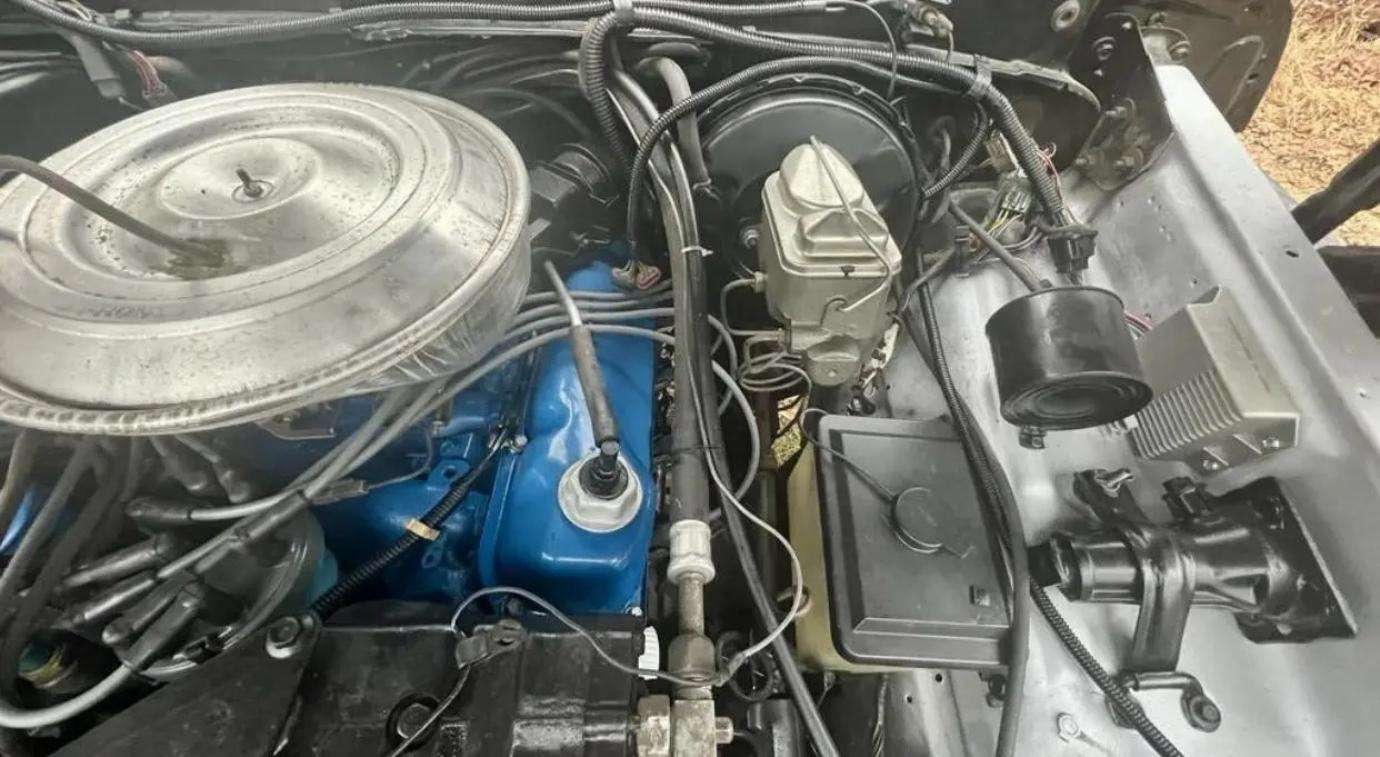 1979 Ford Bronco