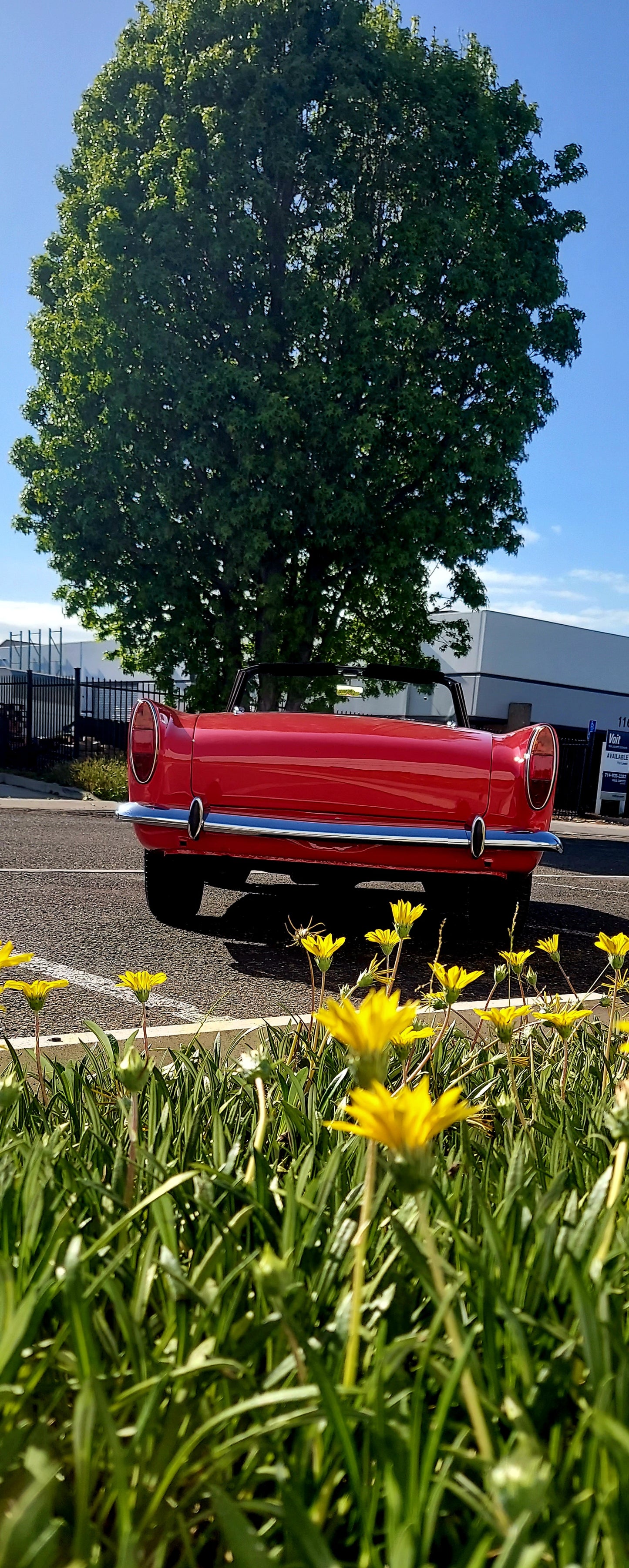 1965 Sunbeam Alpine