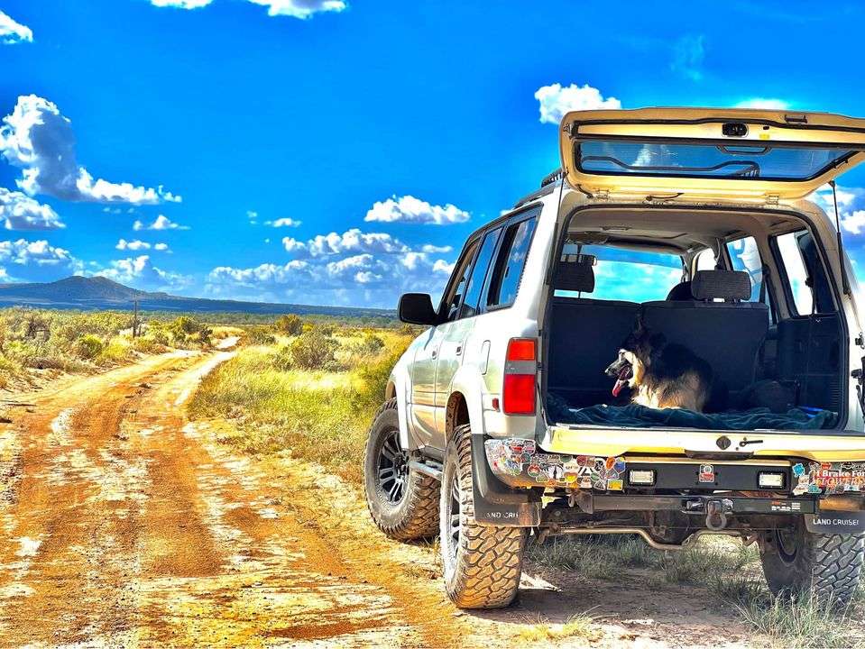 1991 Toyota Land Cruiser LS Swap