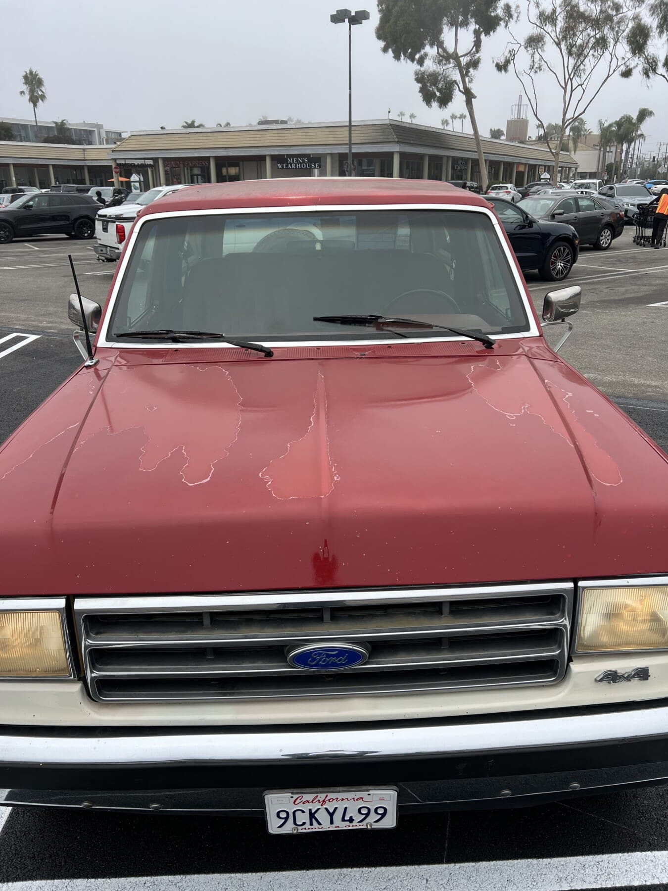 1989 Ford Bronco