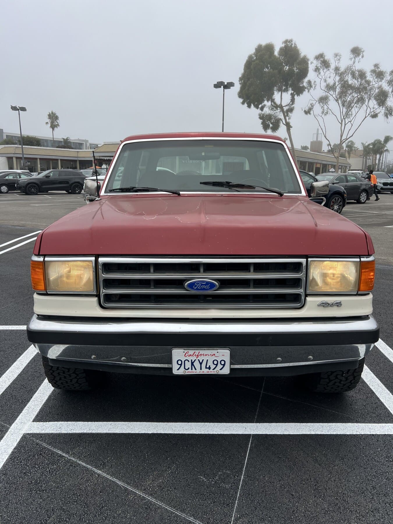 1989 Ford Bronco