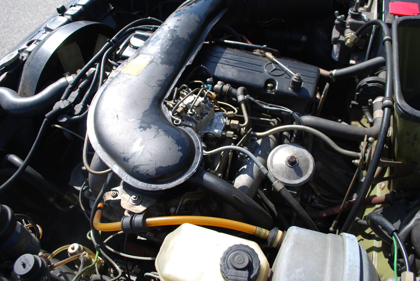 1984 Puch (Mercedes) 230GE