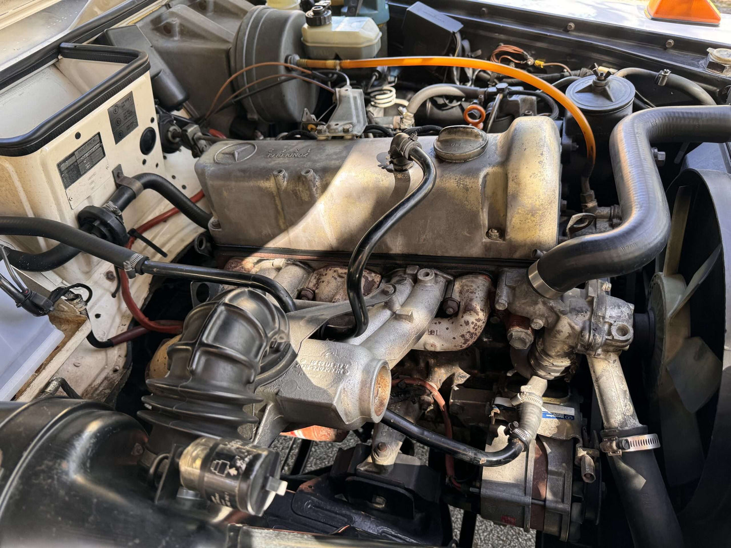 1982 Mercedes-Benz 240GD