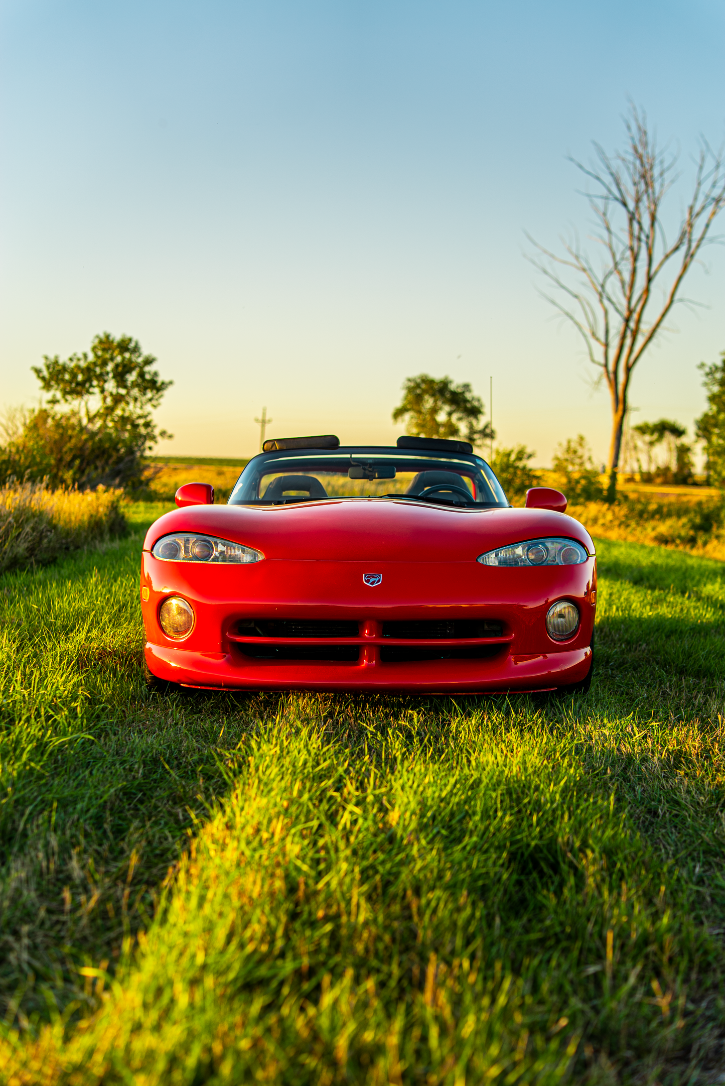 1993 Dodge Viper