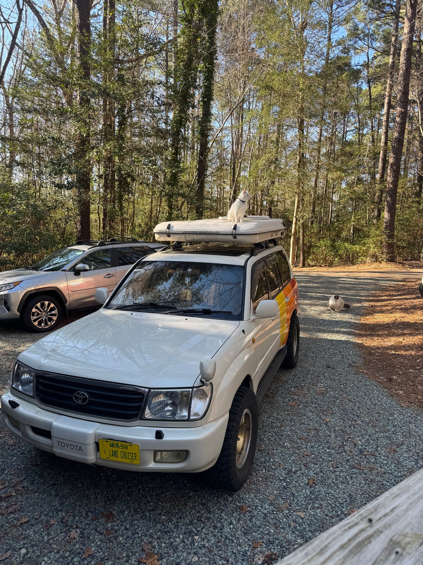 1998 Toyota Land Cruiser VX Limited