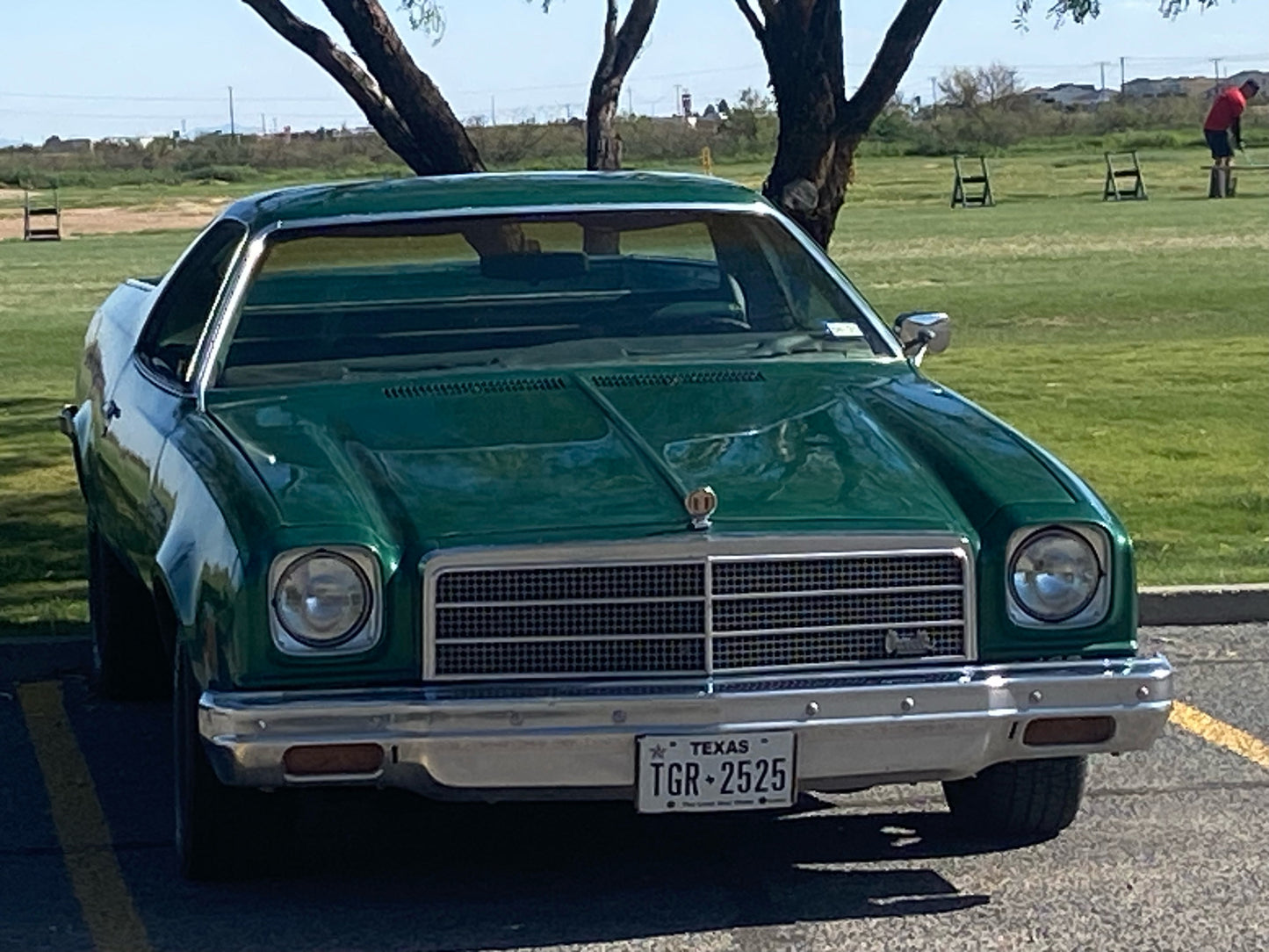 1973 Chevrolet El Camino Custom Estate Classic