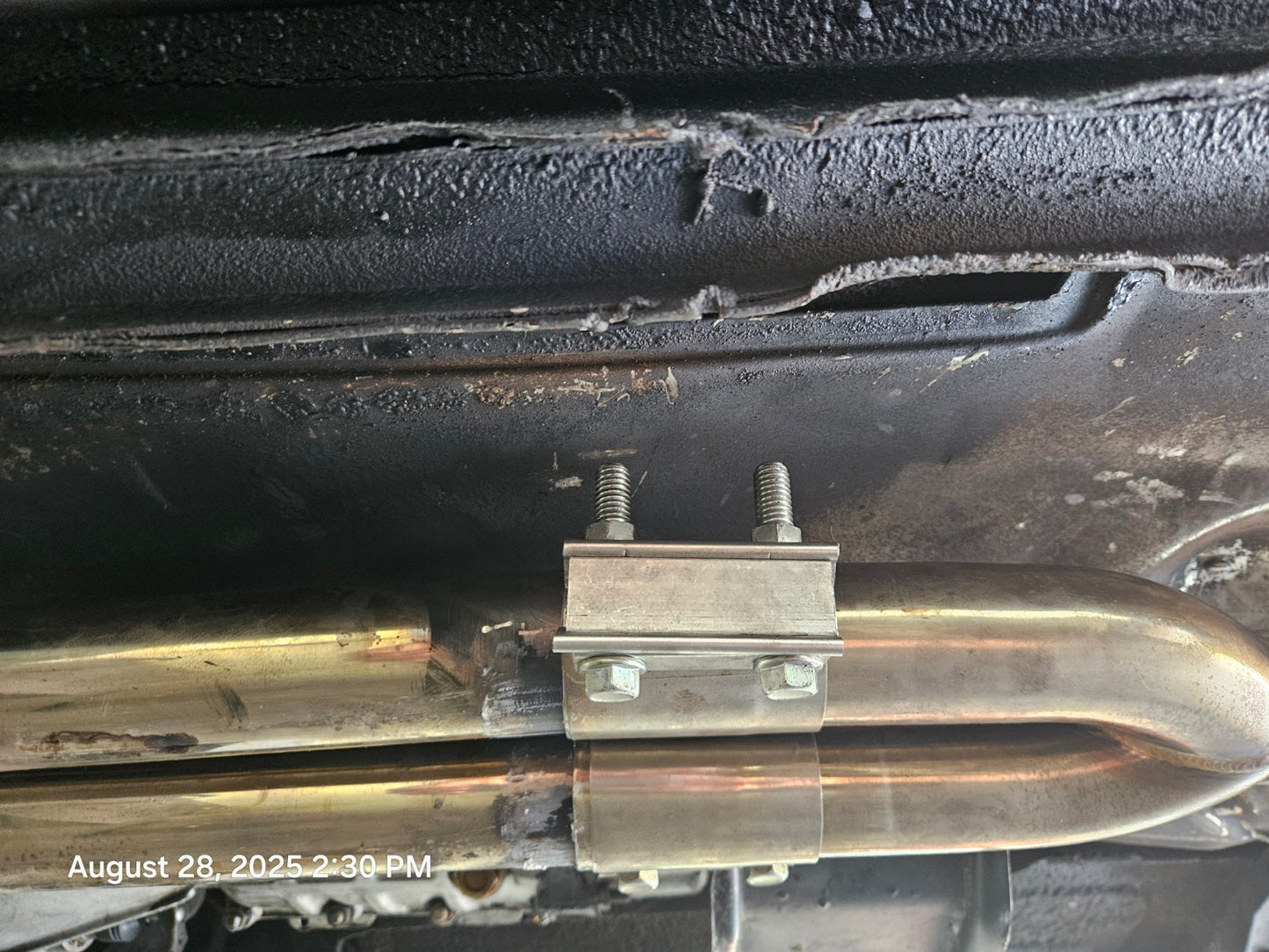 1981 Alfa Romeo Spider Veloce