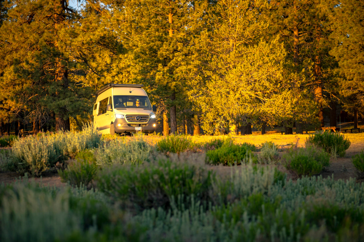 2022 Mercedes Sprinter 170 2500
