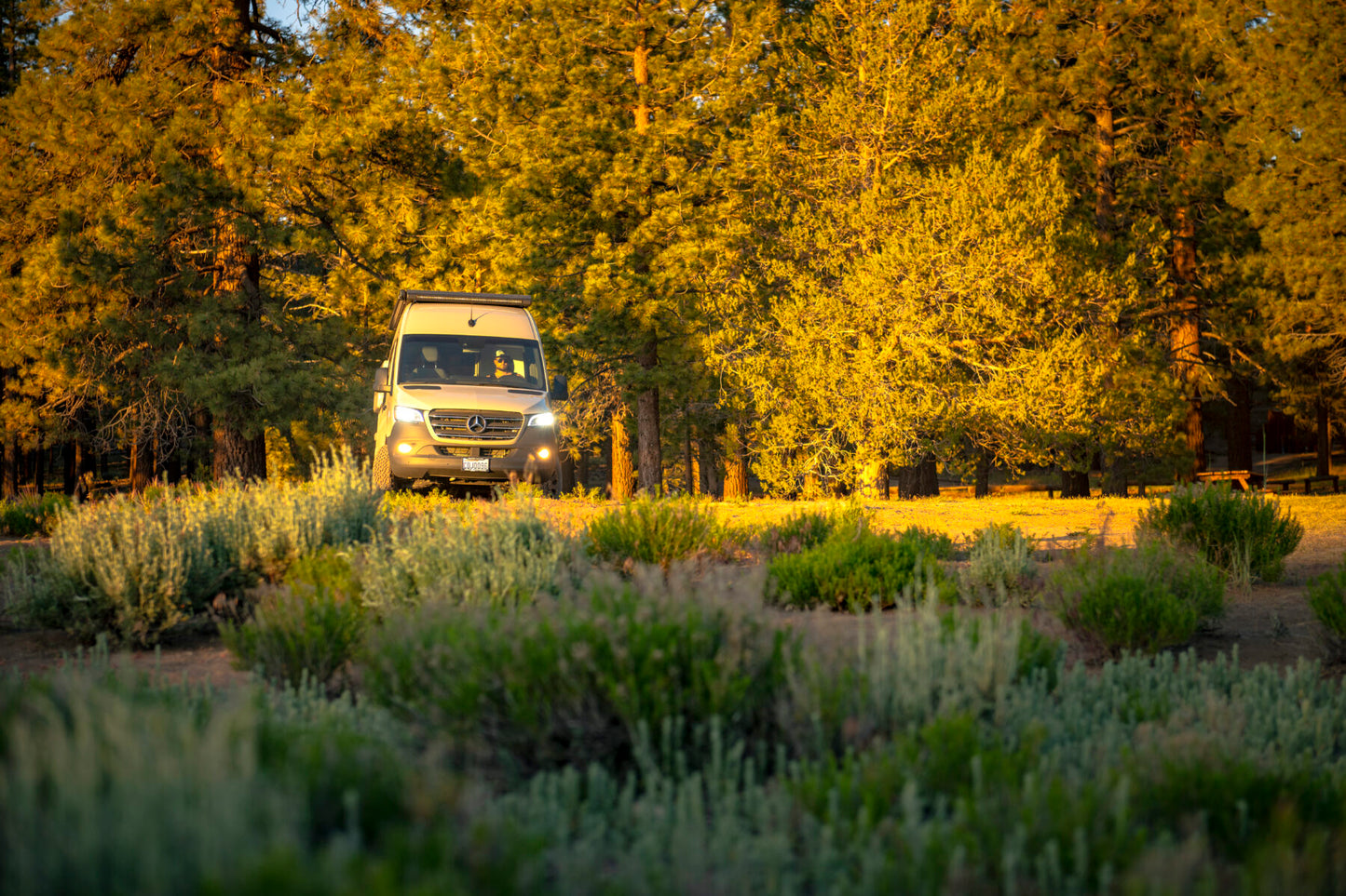 2022 Mercedes Sprinter 170 2500