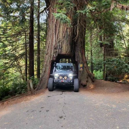 2014 Jeep Wrangler Unlimited Rubicon X with Ursa Minor Top