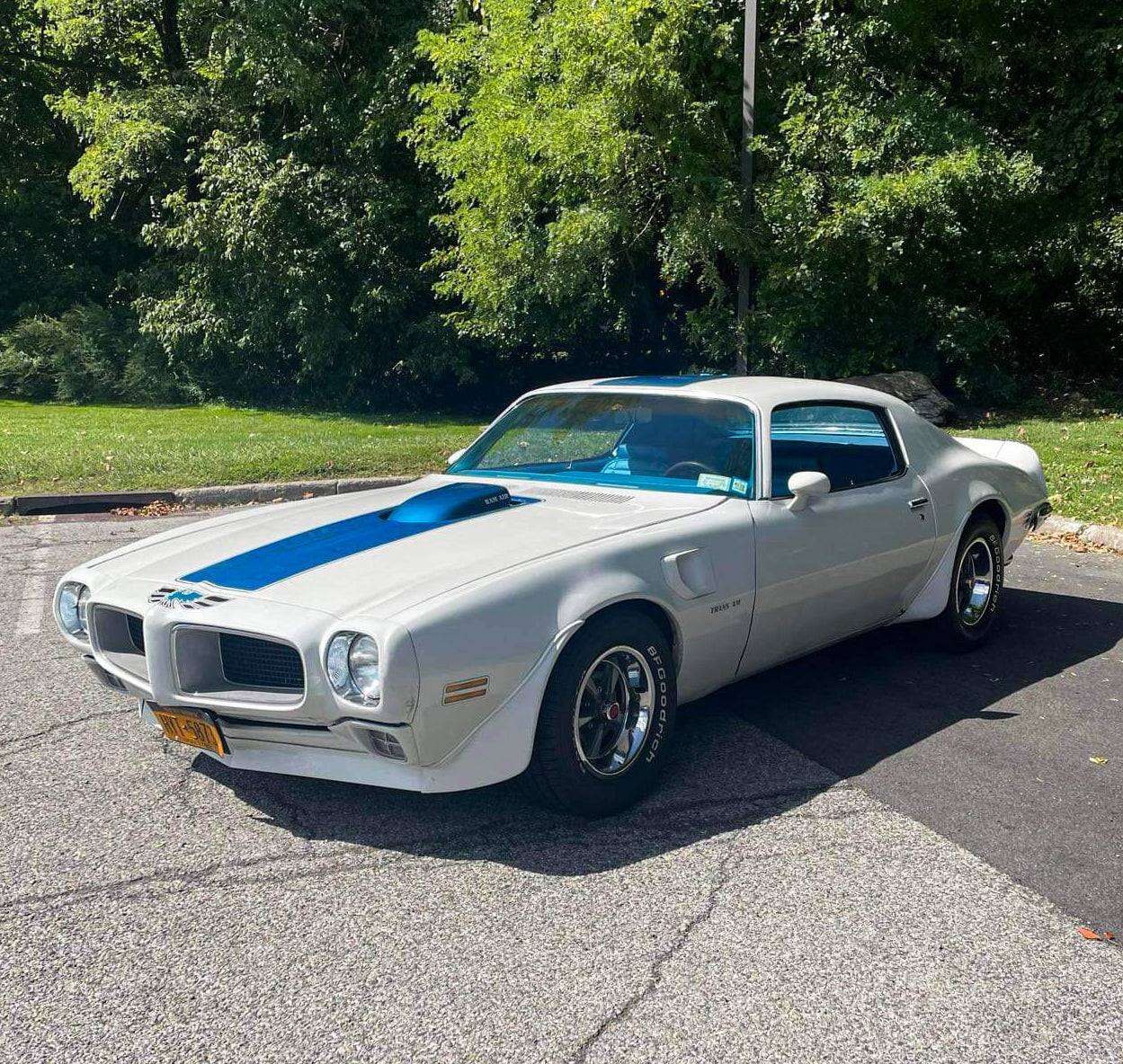 Side angle of Trans Am.