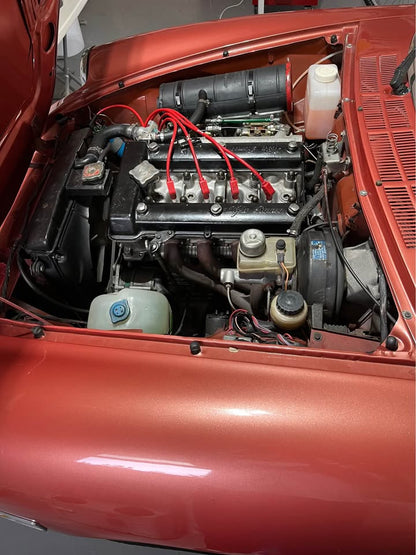 1981 Alfa Romeo Spider Veloce