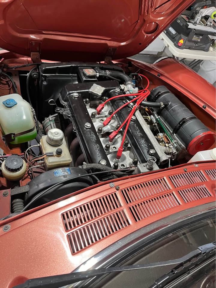 1981 Alfa Romeo Spider Veloce