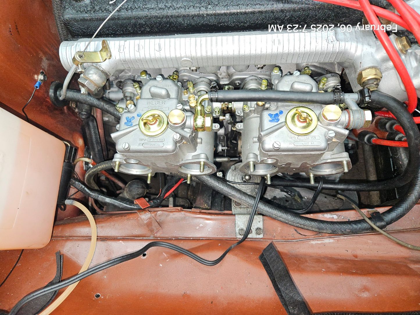 1981 Alfa Romeo Spider Veloce