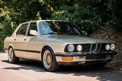 1988 BMW 528e M52 Swap