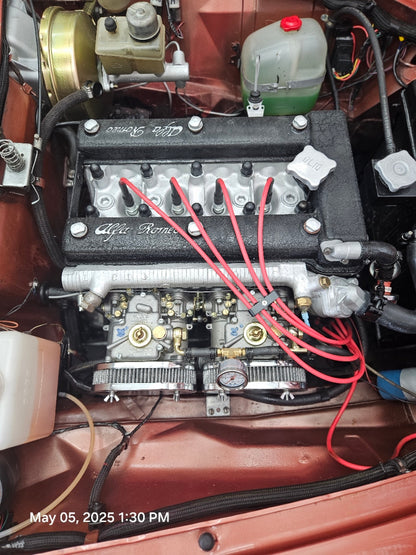 1981 Alfa Romeo Spider Veloce