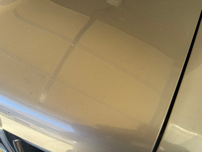 1994 Toyota Pick-up 4x4 DX Single Family