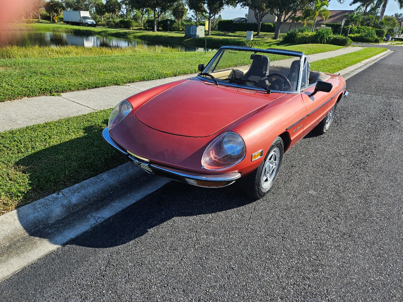1981 Alfa Romeo Spider Veloce