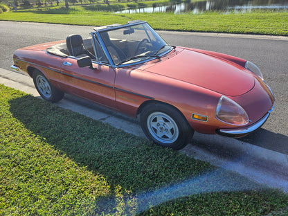 1981 Alfa Romeo Spider Veloce