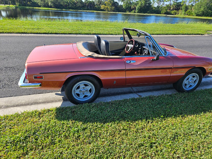 1981 Alfa Romeo Spider Veloce