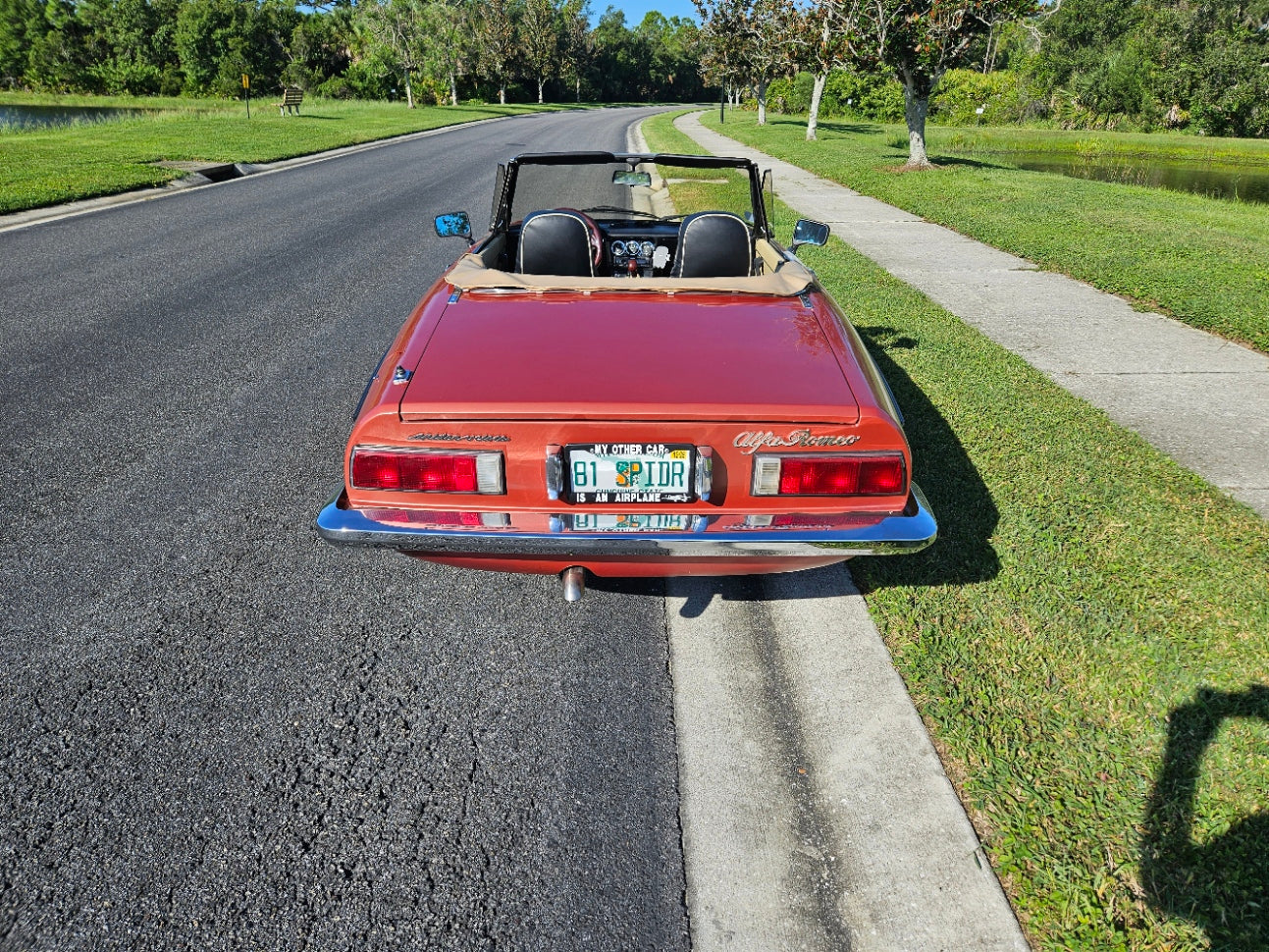 1981 Alfa Romeo Spider Veloce