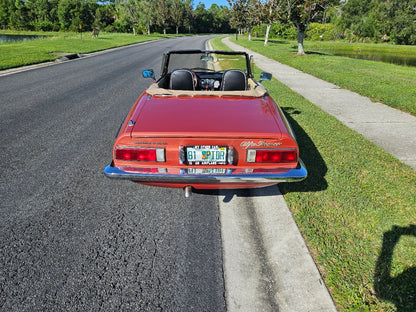 1981 Alfa Romeo Spider Veloce