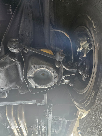 1981 Alfa Romeo Spider Veloce