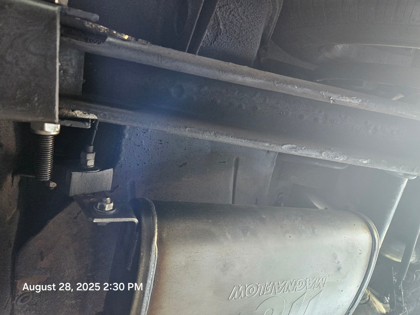 1981 Alfa Romeo Spider Veloce