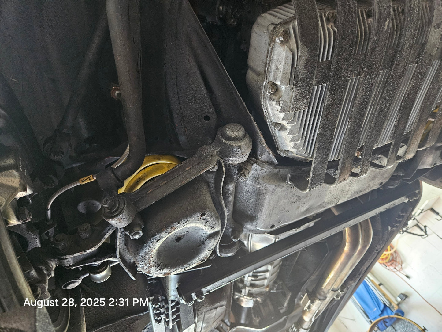 1981 Alfa Romeo Spider Veloce