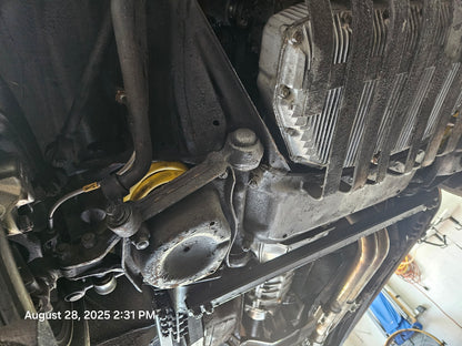 1981 Alfa Romeo Spider Veloce