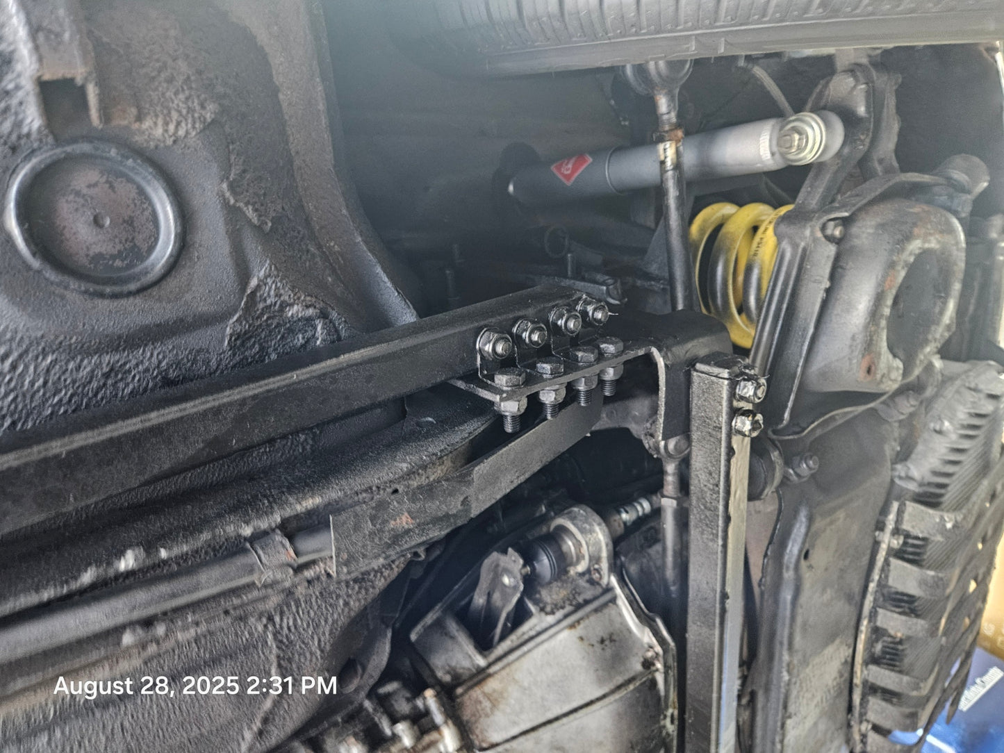 1981 Alfa Romeo Spider Veloce