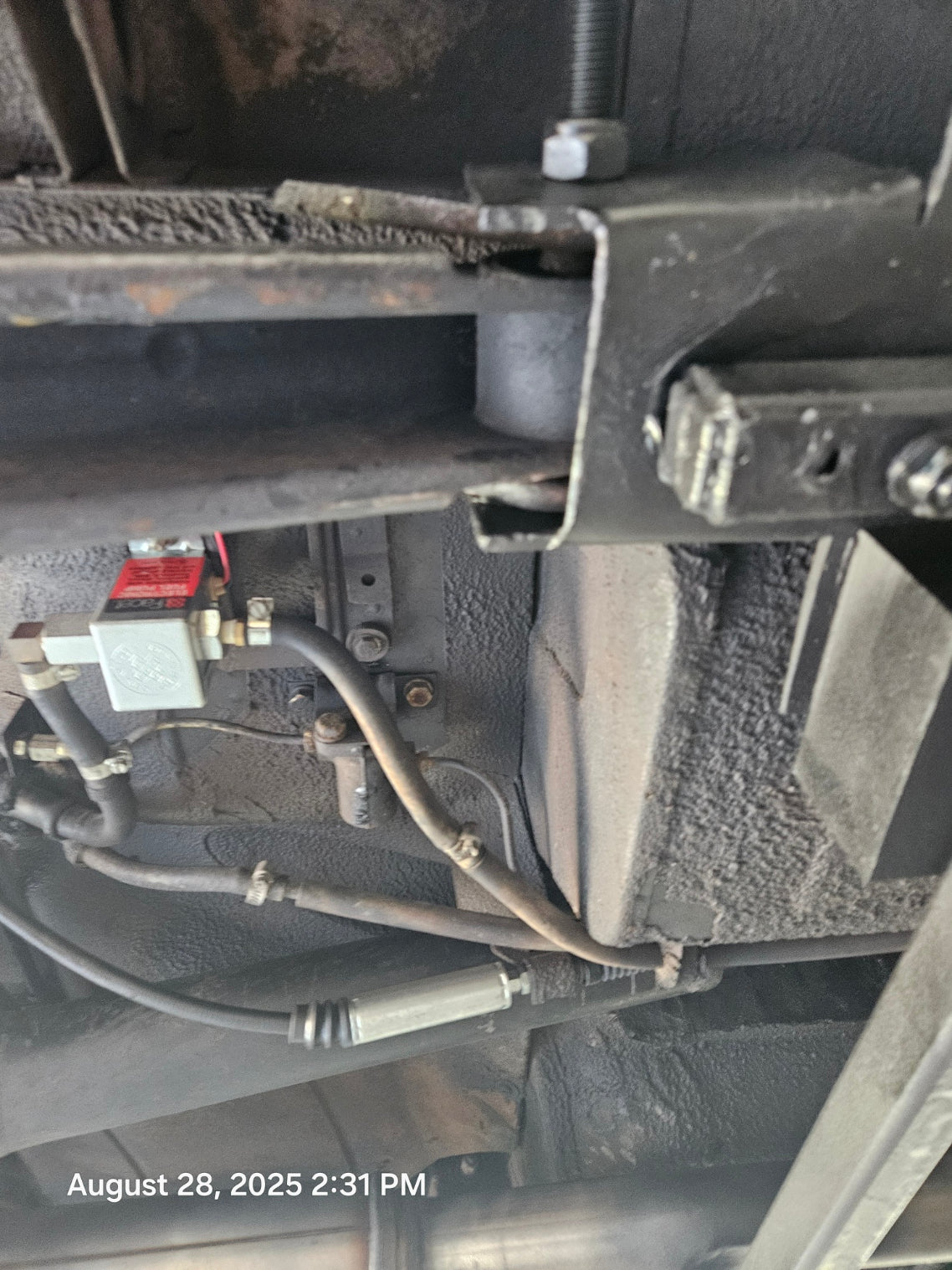 1981 Alfa Romeo Spider Veloce