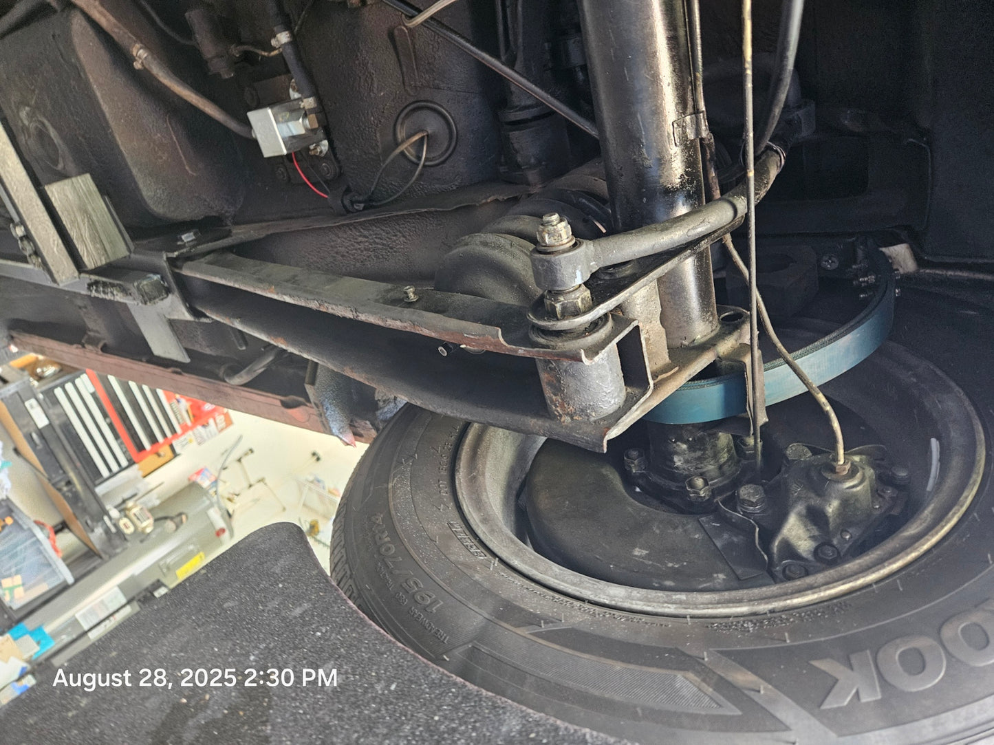 1981 Alfa Romeo Spider Veloce